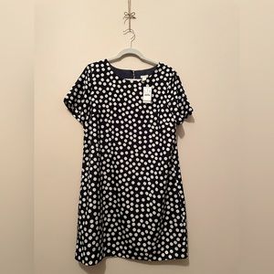 navy polka dot above knee dress